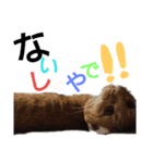 みーめとちょことわかな。（個別スタンプ：5）