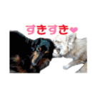 びび(犬)すたんぷ（個別スタンプ：29）