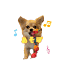 びび(犬)すたんぷ（個別スタンプ：36）