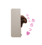 ルミスタンプ（個別スタンプ：2）