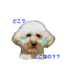 ウィルにそ.ま.れ♡（個別スタンプ：3）