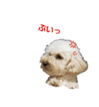 ウィルにそ.ま.れ♡（個別スタンプ：6）