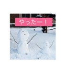 北海道のペンギンとゆきだるま（個別スタンプ：7）