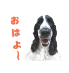 Re:聖砂未だよ全員集合vol.1（個別スタンプ：2）