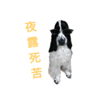 Re:聖砂未だよ全員集合vol.1（個別スタンプ：5）