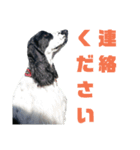 Re:聖砂未だよ全員集合vol.1（個別スタンプ：6）