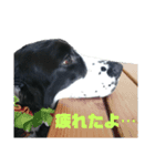 Re:聖砂未だよ全員集合vol.1（個別スタンプ：11）
