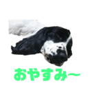 Re:聖砂未だよ全員集合vol.1（個別スタンプ：16）