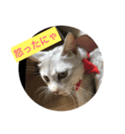 のんたん、ルイ、ミシェル（個別スタンプ：3）
