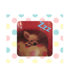 のんたん、ルイ、ミシェル（個別スタンプ：8）