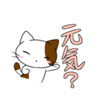 ニケねこさんスタンプ（個別スタンプ：24）