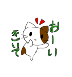 ニケねこさんスタンプ（個別スタンプ：31）
