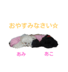 瑠璃亜の子供達①（個別スタンプ：11）