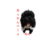 瑠璃亜の子供達①（個別スタンプ：13）