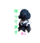 瑠璃亜の子供達①（個別スタンプ：15）