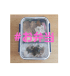 イマメシスタンプ 2（個別スタンプ：16）