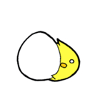 素人の黄色いすたんぷ（個別スタンプ：17）