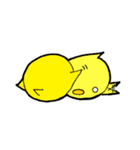 素人の黄色いすたんぷ（個別スタンプ：21）