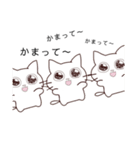 ほぼ顔が変わらないネコチャン（個別スタンプ：9）