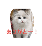 エリー・ラグ太郎・バロン 2（個別スタンプ：2）