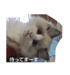 エリー・ラグ太郎・バロン 2（個別スタンプ：3）