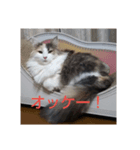 エリー・ラグ太郎・バロン 2（個別スタンプ：7）