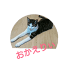 ムニちゃん日記②（個別スタンプ：6）