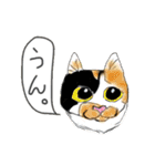 ムッチっぱスタンプ①（個別スタンプ：3）