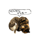 ムッチっぱスタンプ①（個別スタンプ：20）