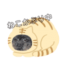 キャンディのあいさつ（個別スタンプ：2）