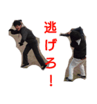 エキサイティングな男のスタンプ（個別スタンプ：14）