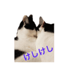 ティノとバンビ（個別スタンプ：1）