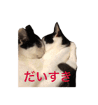 ティノとバンビ（個別スタンプ：7）