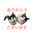 ティノとバンビ（個別スタンプ：17）