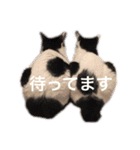 ティノとバンビ（個別スタンプ：20）