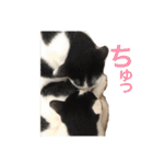 ティノとバンビ（個別スタンプ：23）