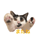 ティノとバンビ（個別スタンプ：24）