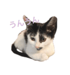 ティノとバンビ（個別スタンプ：29）