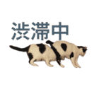 ティノとバンビ（個別スタンプ：30）
