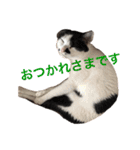 ティノとバンビ（個別スタンプ：32）