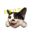 ティノとバンビ（個別スタンプ：33）
