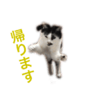 ティノとバンビ（個別スタンプ：40）