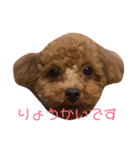 アンジュ♡（個別スタンプ：8）