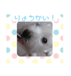 はるそらぺこ（個別スタンプ：7）