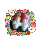 はるそらぺこ（個別スタンプ：8）
