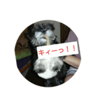 ラヴちゃんのシリーズ2（個別スタンプ：7）