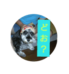 ラヴちゃんのシリーズ2（個別スタンプ：8）
