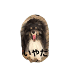 天ちゃんby HARUTAN（個別スタンプ：4）