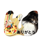 天ちゃんby HARUTAN（個別スタンプ：10）