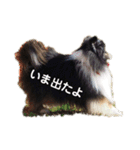 天ちゃんby HARUTAN（個別スタンプ：13）